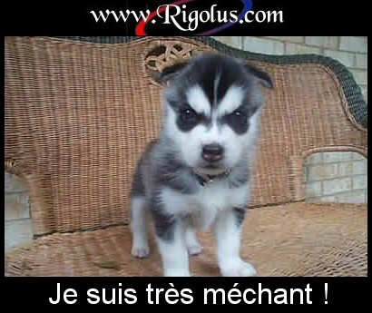 oh ?????? c'est vrai ??